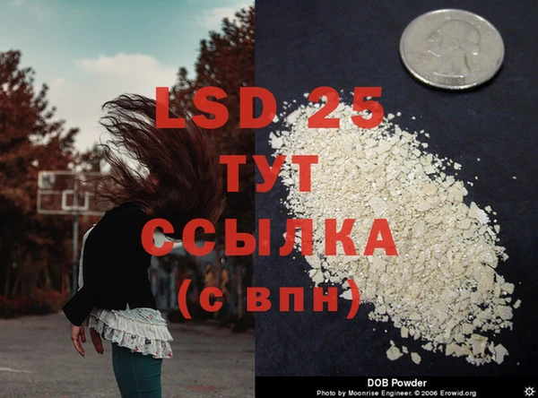 каннабис Нефтекумск