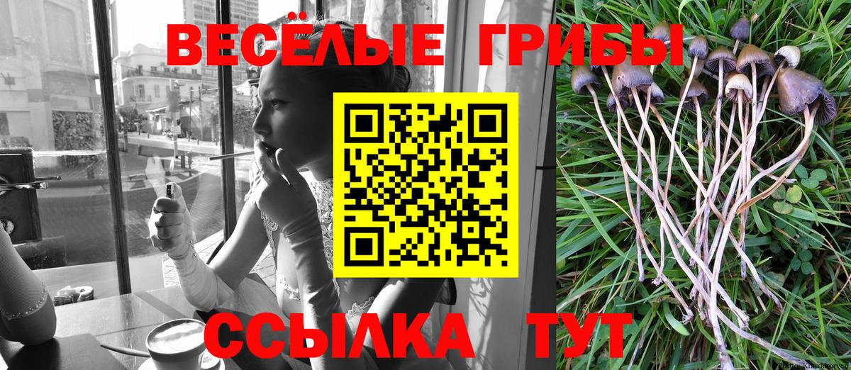 Псилоцибиновые грибы Psilocybe  Касимов  сколько стоит  Псилоцибиновые грибы Psilocybe 