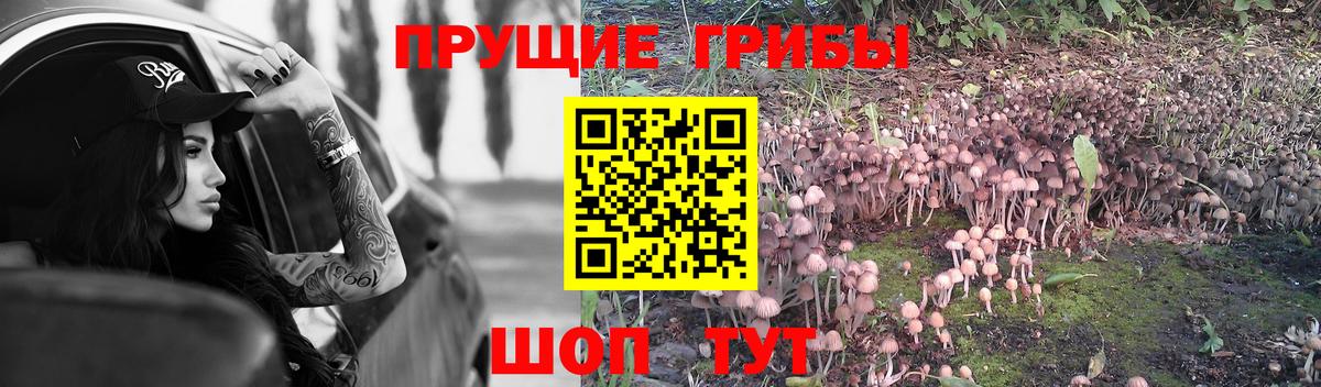 Галлюциногенные грибы MAGIC MUSHROOMS  Вход с VPN  Касимов  Псилоцибиновые грибы мухоморы 