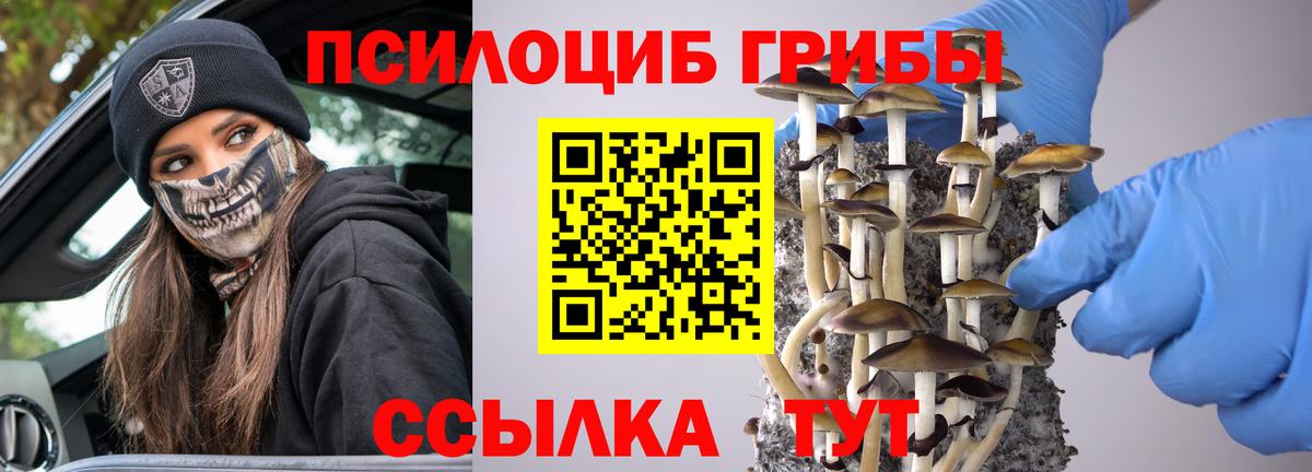 Галлюциногенные грибы MAGIC MUSHROOMS Касимов