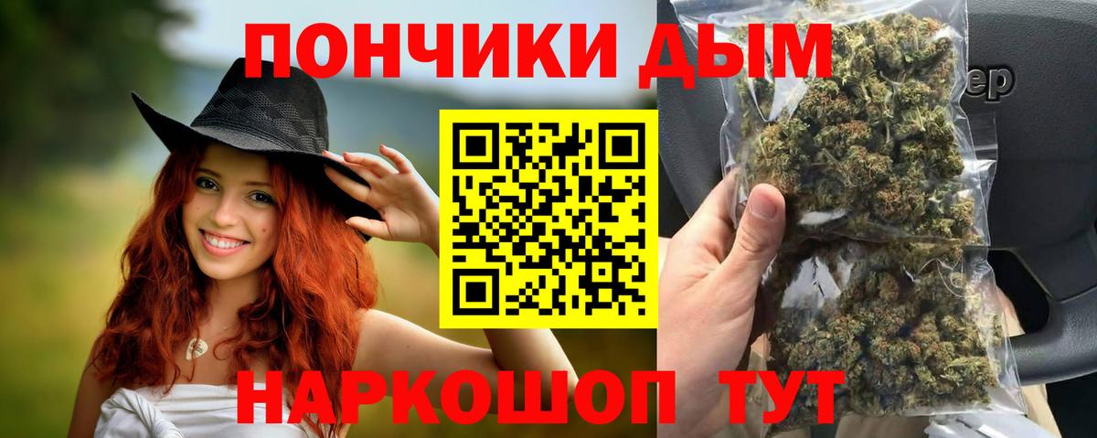 Касимов  Каннабис планчик  Вход с VPN  Бошки марихуана Bruce Banner  Каннабис план  Канабис VHQ 