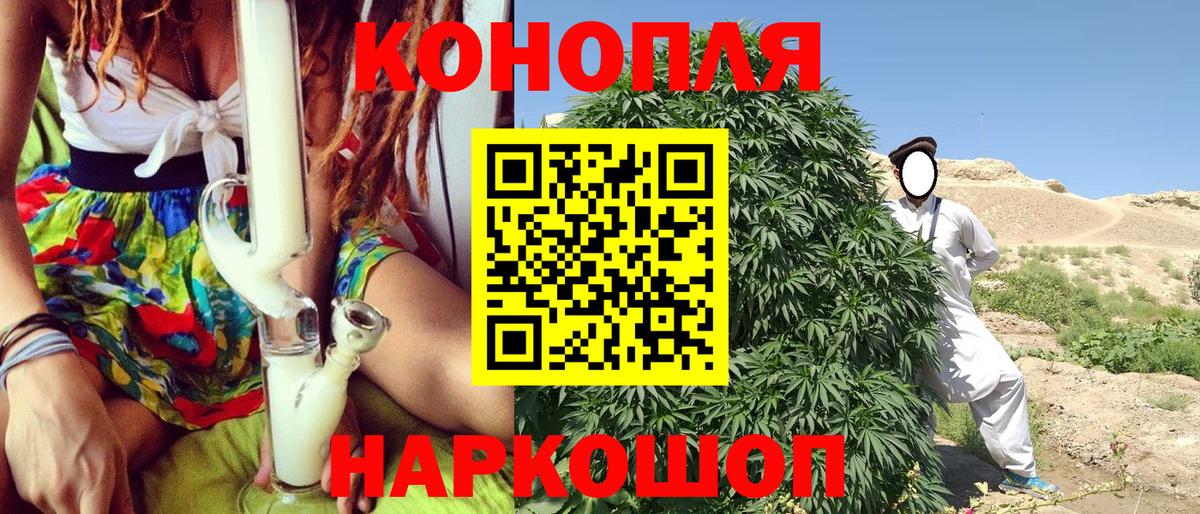 Бошки Шишки OG Kush  Марихуана OG Kush  Бошки марихуана ГИДРОПОН  Касимов 