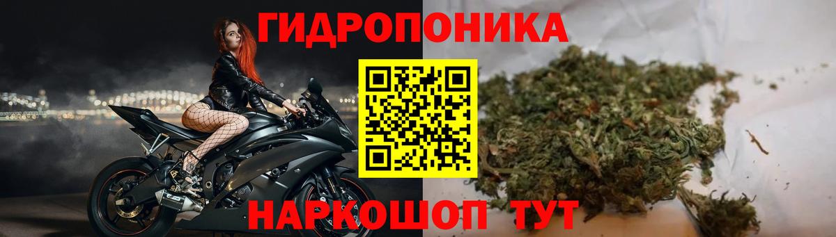 Амфетамин Касимов